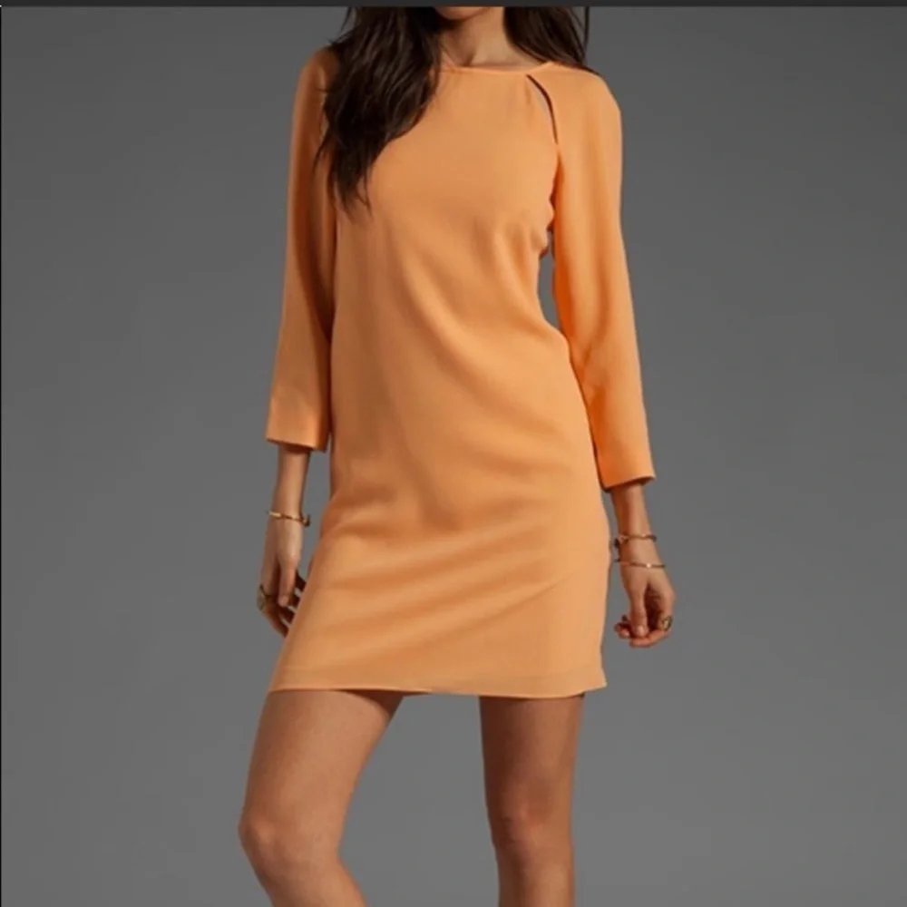Tibi Alison Peek a Boo Shift Dress - Picture 6 of 12